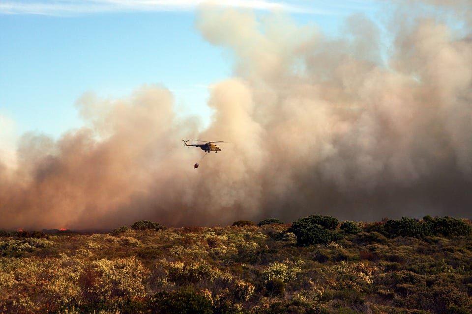 bush fire celeste barber